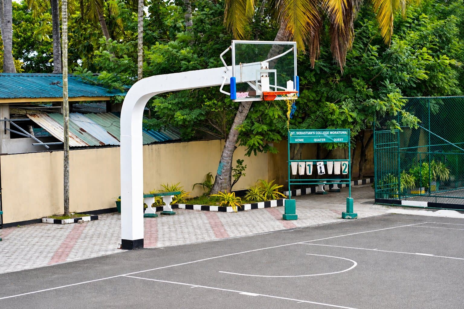 Basketball